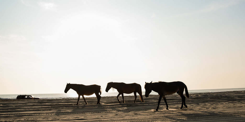 7 of the Most Private Summer Beach Getaways