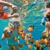 Bali Snorkeling at Blue Lagoon - Image 2