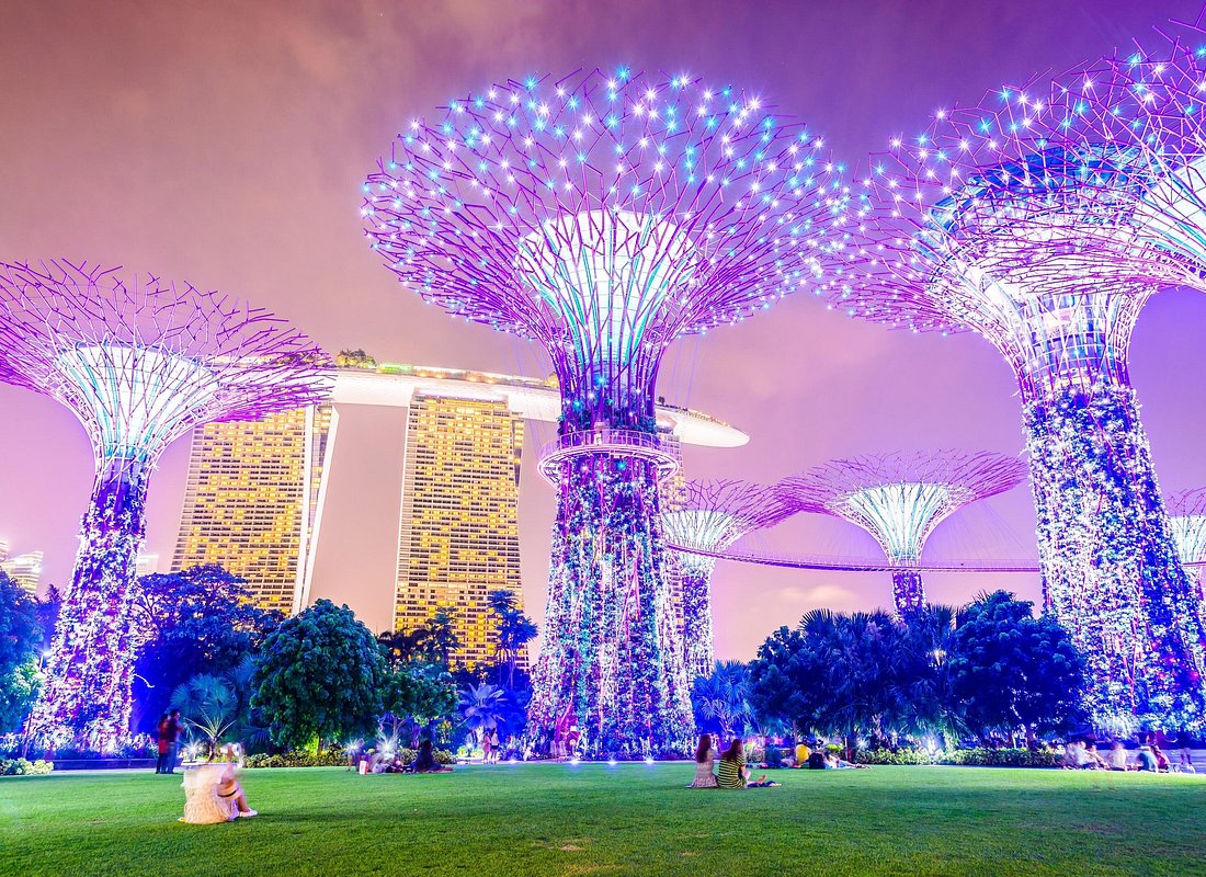 Singapore River Cruise, Night Garden Rhapsody & Spectra