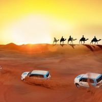 Premium Red Dunes, Camel Safari & BBQ at Al Khayma Camp