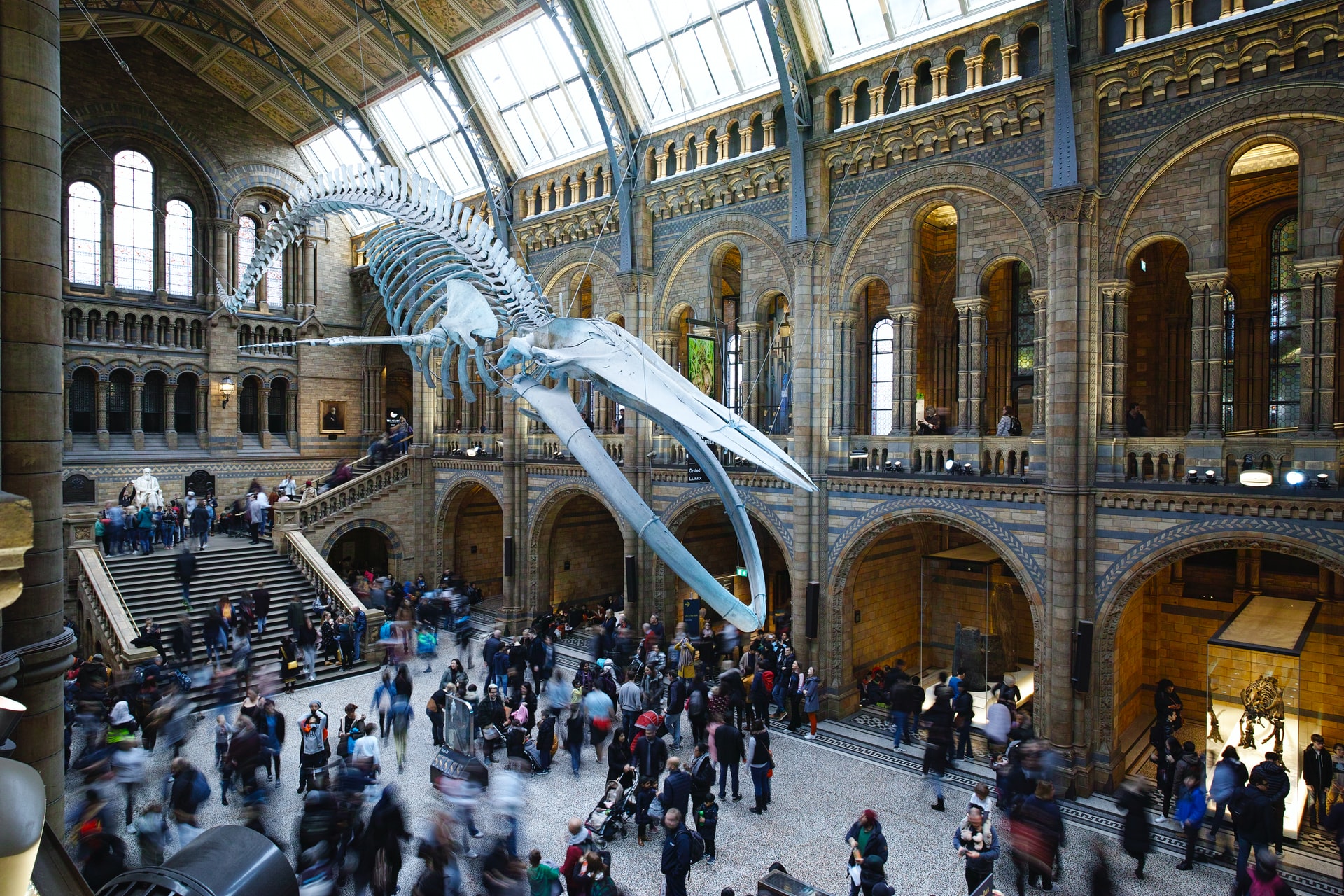 The Best Natural History Museums in the World