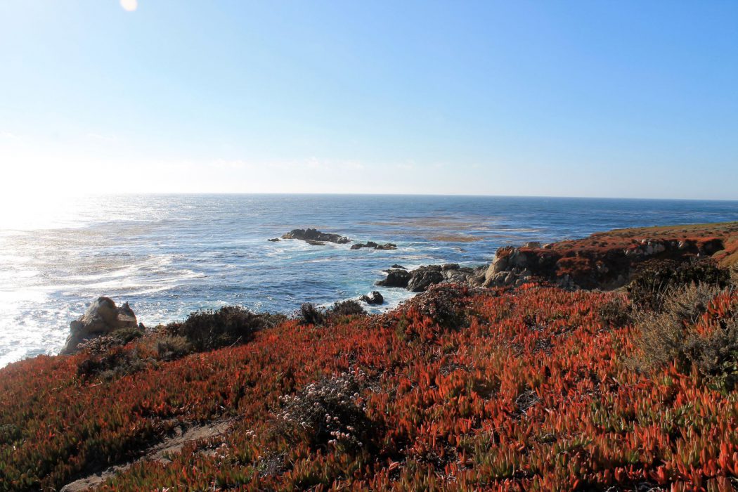The Perfect Road Trip On Big Sur