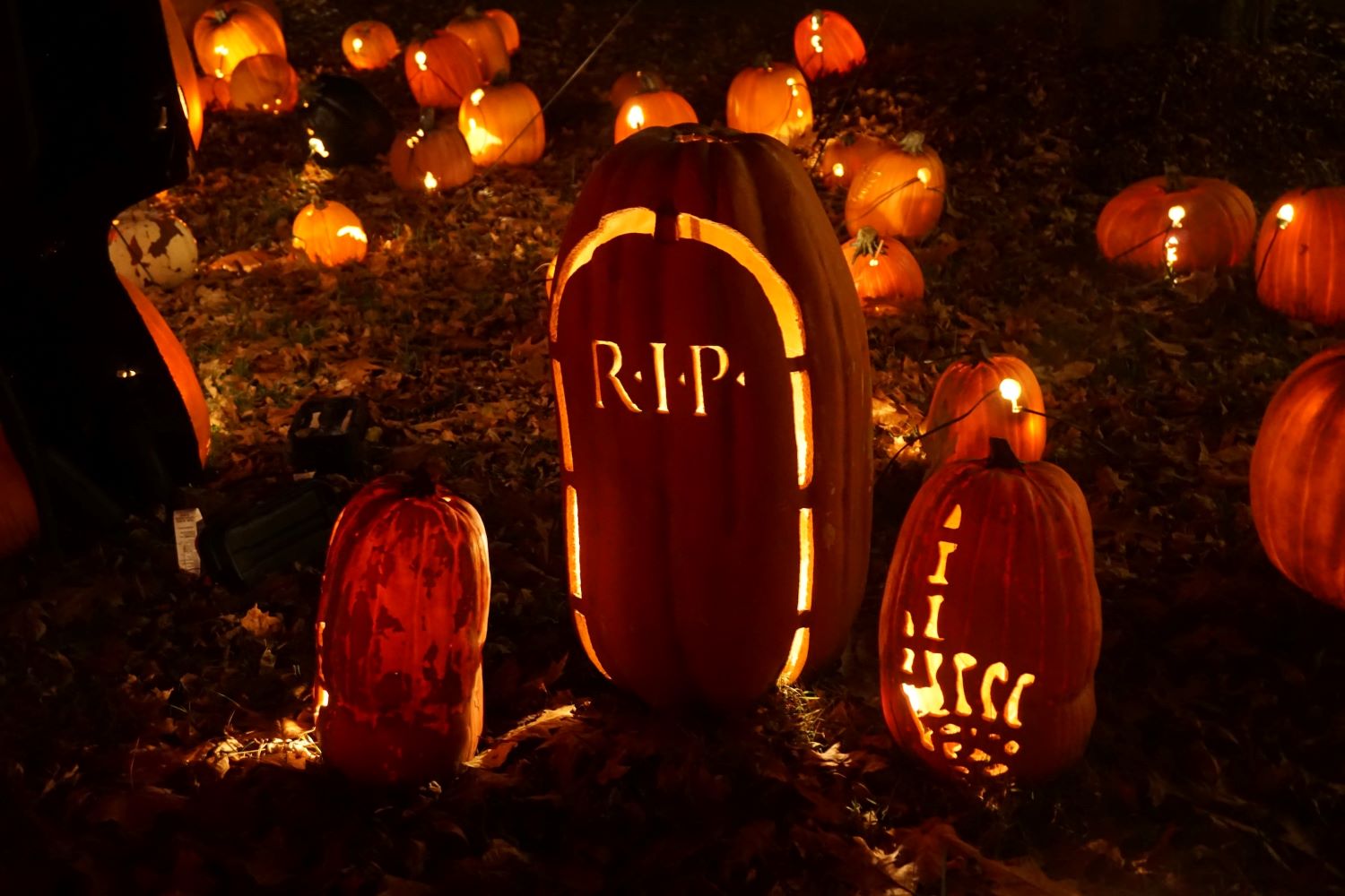 8 Halloween Experiences that will give you Goosebumps