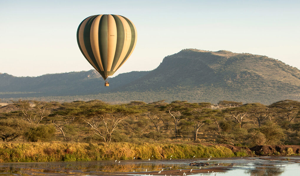 Beyond Expectations: Journeys by Land, Sea and Sky