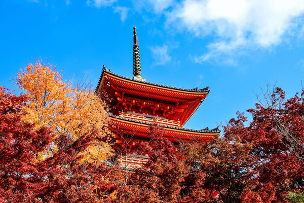 A Beginner’s Guide to Aki (秋): Enjoying Japan’s Autumn