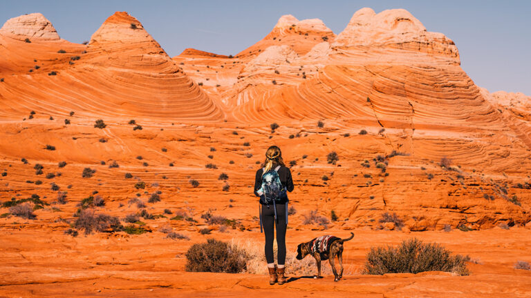 The Major Differences Between Travel Booking Sites