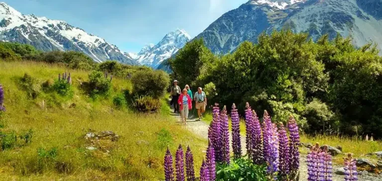Best Day Walks in New Zealand’s South Island