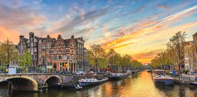 Cruise through a Jazz Festival