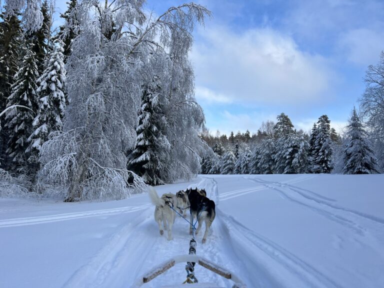 Fun in the snow in Sweden