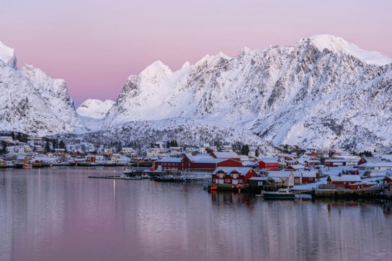Best winter tours in Lofoten Islands