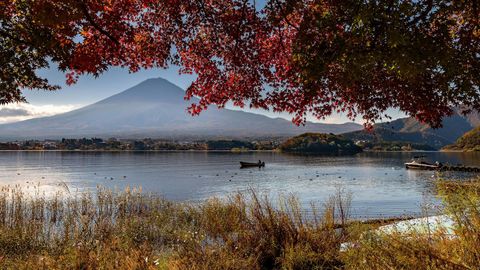 Fall In Japan: Where to view Breathtaking Autumn Scenes
