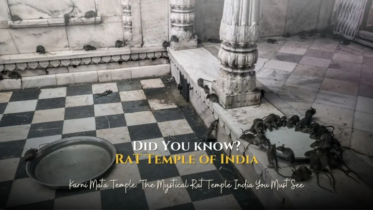 Karni Mata Temple – The Famous Rat Temple of India