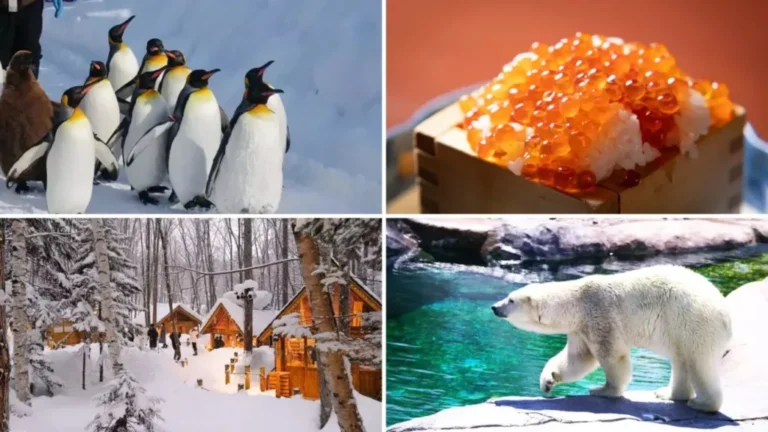 Where to stay in Asahikawa