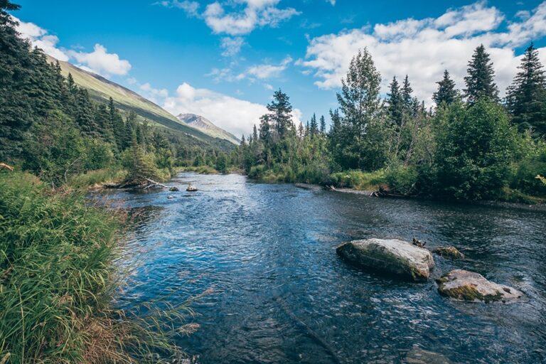 Fun Facts About Alaska