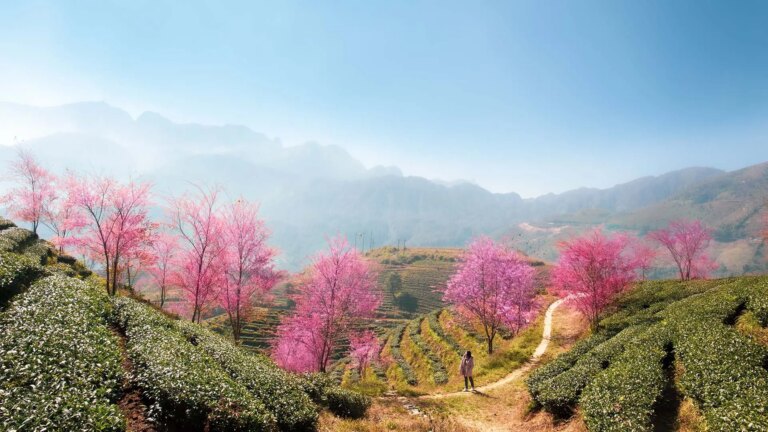 Sapa for a romantic getaway
