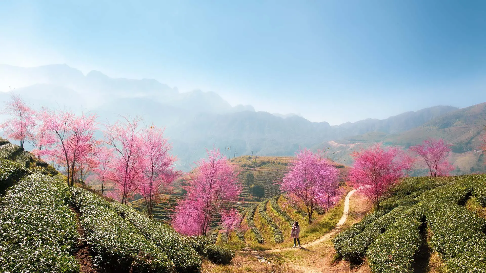 Sapa, for a romantic getaway