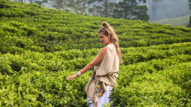 The Romance of Sri Lanka’s Tea Estate Manors