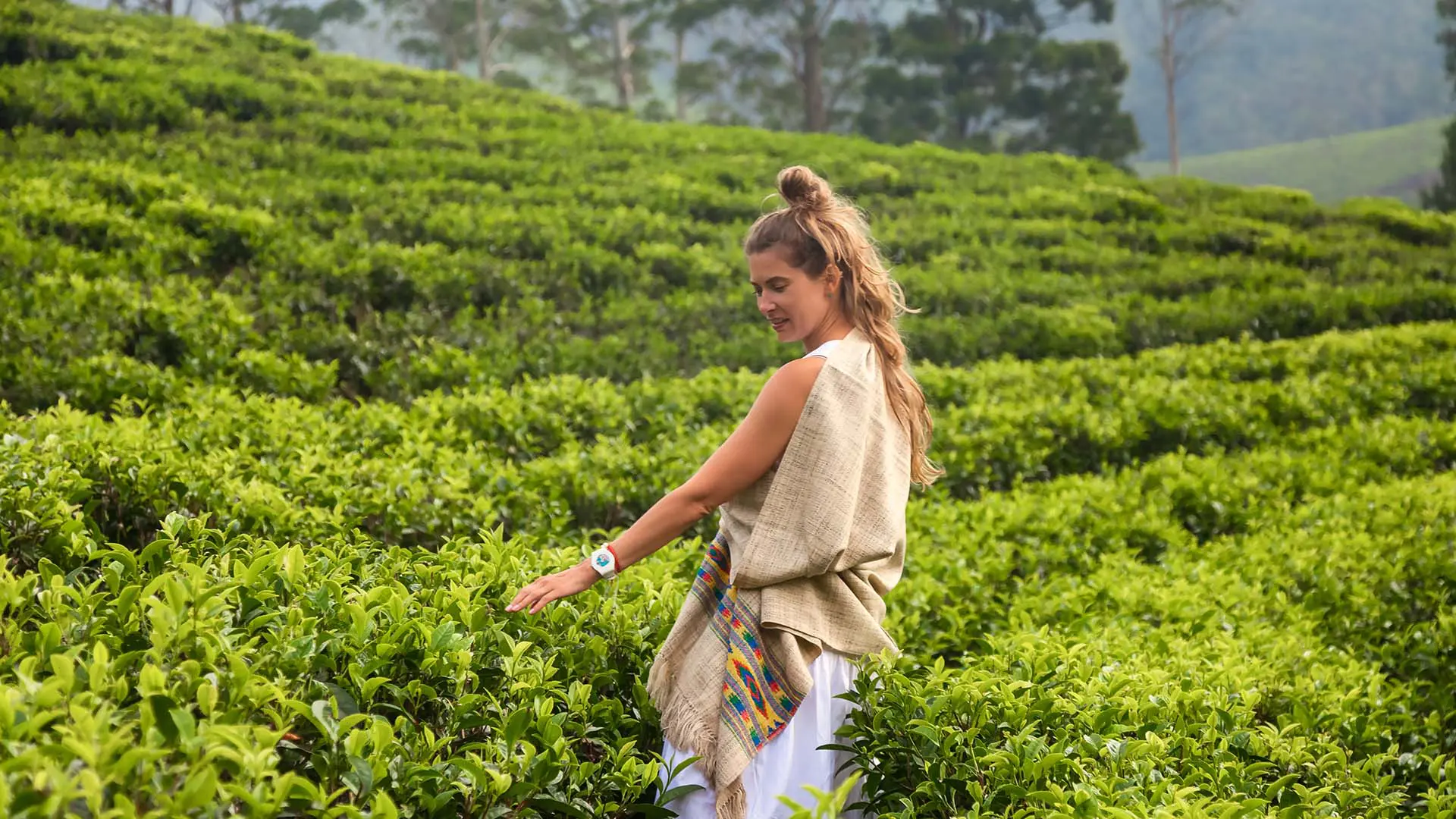 The Romance of Sri Lanka’s Tea Estate Manors