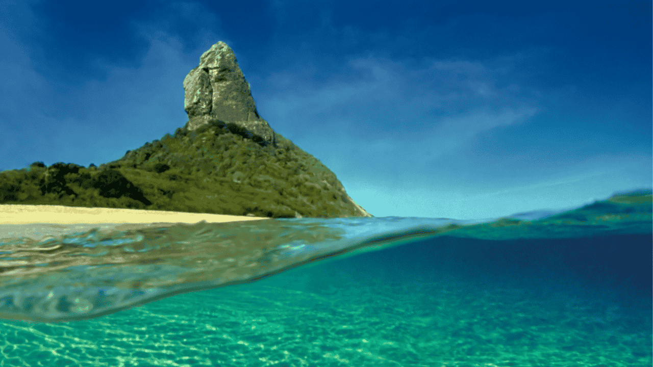 Exclusive Experiences Await in Brazil