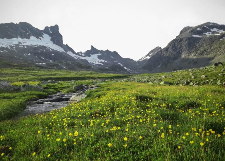 Best time to visit Norway: weather, seasons and travel tips