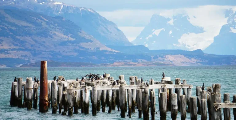 Top 7 Things to Do in Puerto Natales
