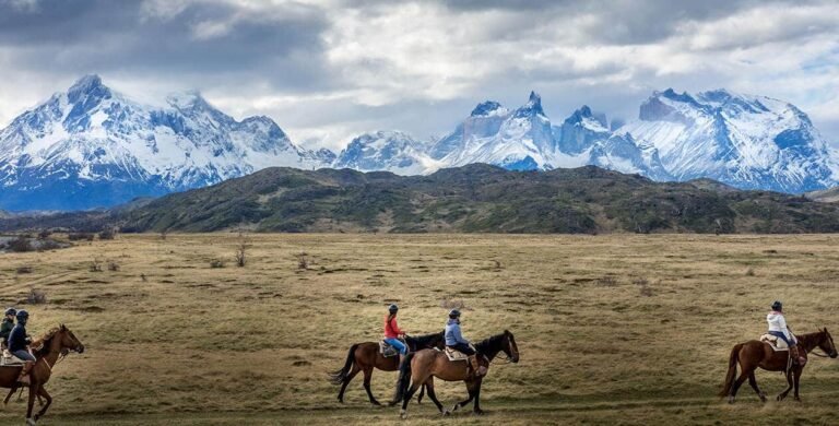Patagonian Wildlife: Where to look