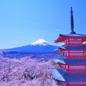 Mt.Fuji & Lake Kawaguchiko 1-Day Bus Tour