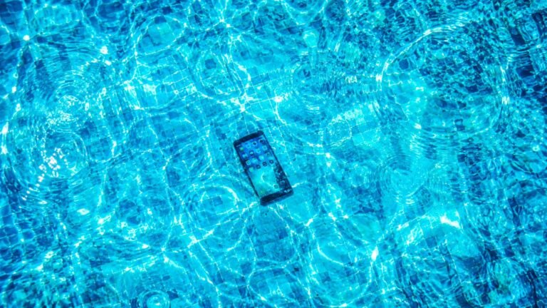 Five Things That Died This Summer