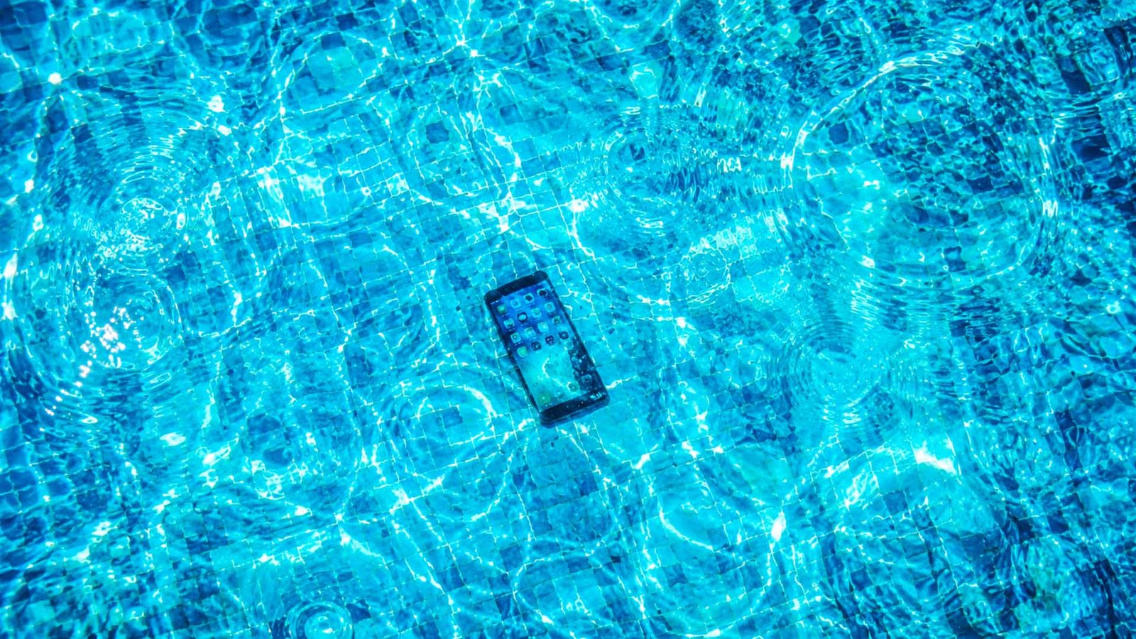 Five Things That Died This Summer