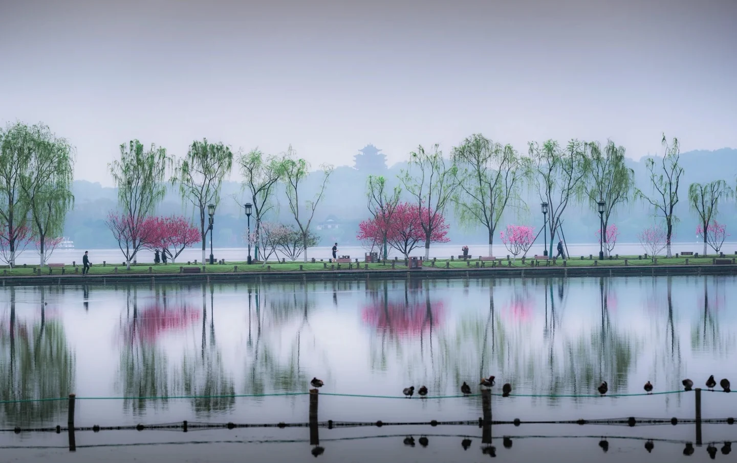 Kayaking and Cycling at Qingshan Lake