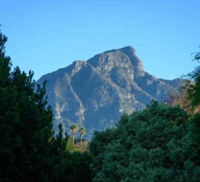 A Different Side of Cape Town: Exploring the Southern Suburbs