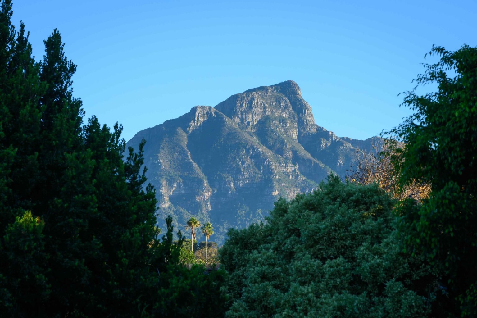 A Different Side of Cape Town: Exploring the Southern Suburbs